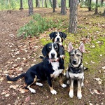 Photo from Martina’s gallery