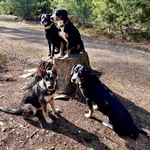 Photo from Martina’s gallery