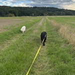 Fotka od hlídačky Andrea 