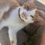 Fotka od hlídačky Michaela 