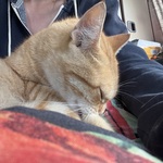 Fotka od hlídačky Michaela 