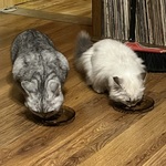 Fotka od hlídačky Michaela 