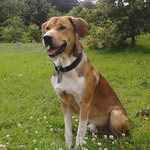 Fotka od hlídačky Elena 