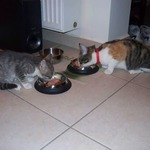 Fotka od hlídačky Elena 