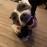 Fotka od hlídačky Barbara 