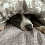 Fotka od hlídačky Barbara 