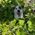 Fotka od hlídačky Barbara 