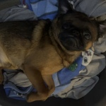 Fotka od hlídačky Barbara 