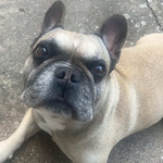 Fotka od hlídačky Barbara 