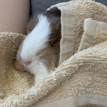 Fotka od hlídačky Kateřina 