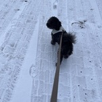 Fotka od hlídačky Kateřina 