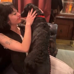 Fotka od hlídačky Kateřina 