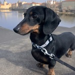 Photo from Natalie’s gallery