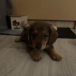 Photo from Veronika’s gallery