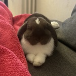 Photo from Veronika’s gallery