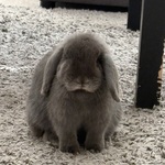 Photo from Veronika’s gallery