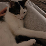 Photo from Veronika’s gallery