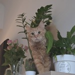 Photo from Tatyana’s gallery