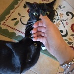 Photo from Tatyana’s gallery