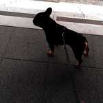 Fotka od hlídačky Karolína 