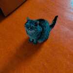 Fotka od hlídačky Karolína 