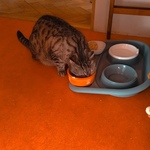 Fotka od hlídačky Karolína 