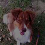 Fotka od hlídačky Karolína 