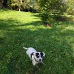 Fotka od hlídačky Karolína 