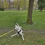 Photo from Adéla’s gallery