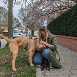 Fotka od hlídačky Monika 