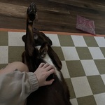 Photo from Amelie’s gallery