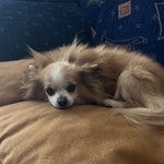 Photo from Amelie’s gallery