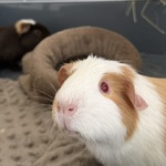 Fotka od hlídačky Kateřina 