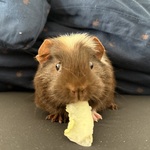 Fotka od hlídačky Kateřina 