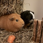 Fotka od hlídačky Kateřina 