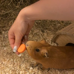 Fotka od hlídačky Kateřina 