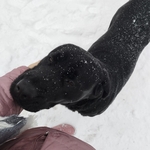 Fotka od hlídačky Adéla 