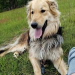 Fotka od hlídačky Adéla 