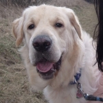 Fotka od hlídačky Adéla 