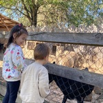 Photo from Ema’s gallery