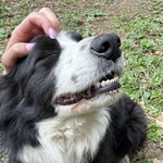 Fotka od hlídačky Veronika 