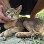 Photo from Michael’s gallery