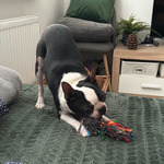 Photo from Michael’s gallery