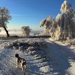 Photo from Michael’s gallery