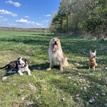 Photo from Nicole’s gallery