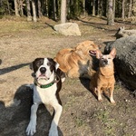 Photo from Nicole’s gallery