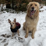 Photo from Nicole’s gallery