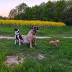 Photo from Nicole’s gallery