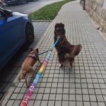 Photo from Hana’s gallery