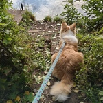 Photo from Hana’s gallery